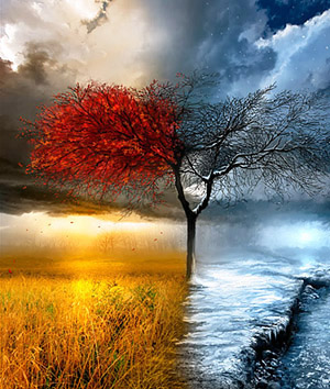 Four-Seasons-art_-1